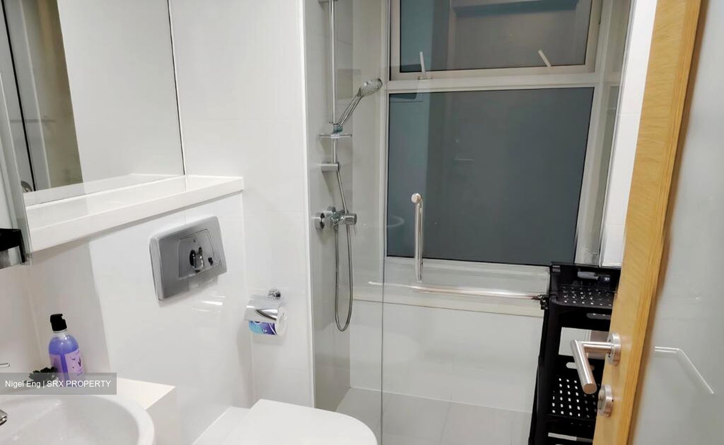 Parc Emily (D9), Condominium #512637791
